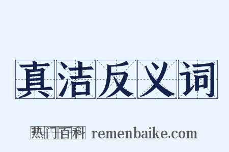 真洁反义词是什么意思的图片
